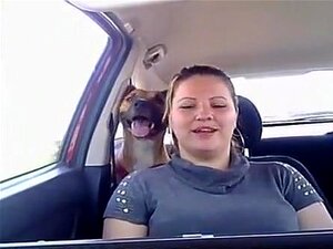 sexy live cam en voiture,
