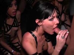 Salopes au corps chaud suçant une grosse bite de VIP. Sexe VIP bombes