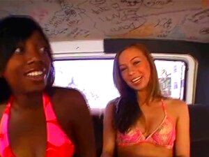 Une part de Spring break Heaven, Yo whats up you motherfuckers out