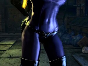 Alley Cat (Catwoman - Batman)