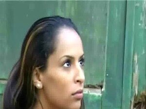 Combat de chat brutal à un lavage de voiture