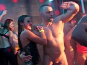 Des salopes de fête séduisantes baisent dans une orgie sexuelle, des