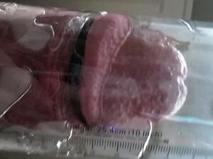 pompage sous vide de bite, pompage sous pression extrême de bite