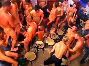 Rejoignez la fête ultime avec des minets sauvages et nus s'adonnant