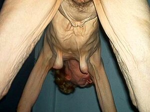 OMAFOTZE Mamies avec de gros culs. Les vieilles mamies montrent leurs