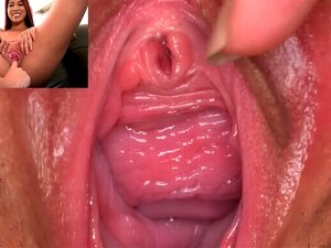 PJGIRLS - COMPILATION DE CHATTES BÉANTES