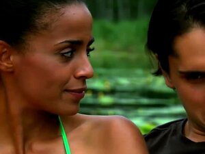 En 2014, la Commission européenne a publié un rapport sur la mise en