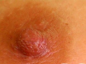 Prime Cups Ont été laissés sans mot sur ces seins incroyables. Tu