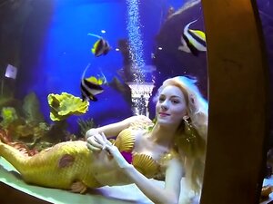 Vivez l'excitation d'une véritable sirène qui ensorcelle la foule au
